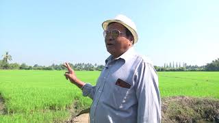 เกษตรกรชาวนากับความพอใจกับโครงการประกันรายได้เกษตรกรผู้ปลูกข้าวปี63/64